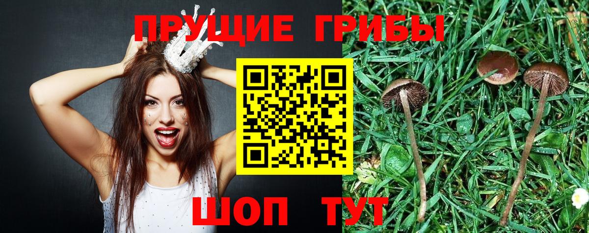 Галлюциногенные грибы MAGIC MUSHROOMS  Вход с VPN  Норильск 
