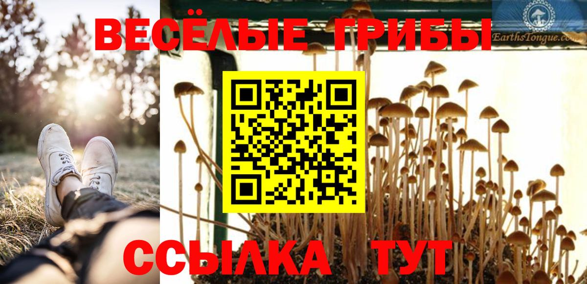 Галлюциногенные грибы MAGIC MUSHROOMS Норильск